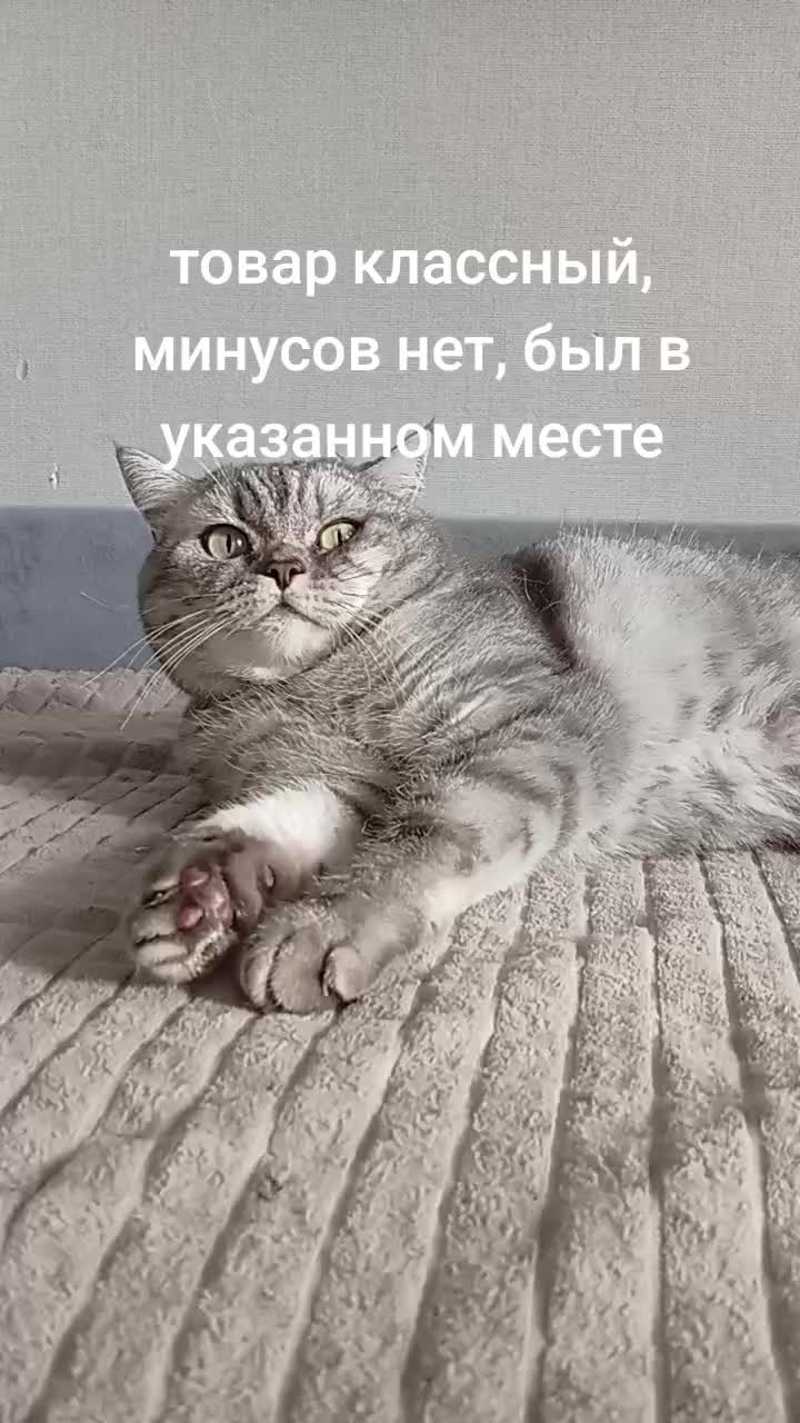 @Великий всепоглотитель