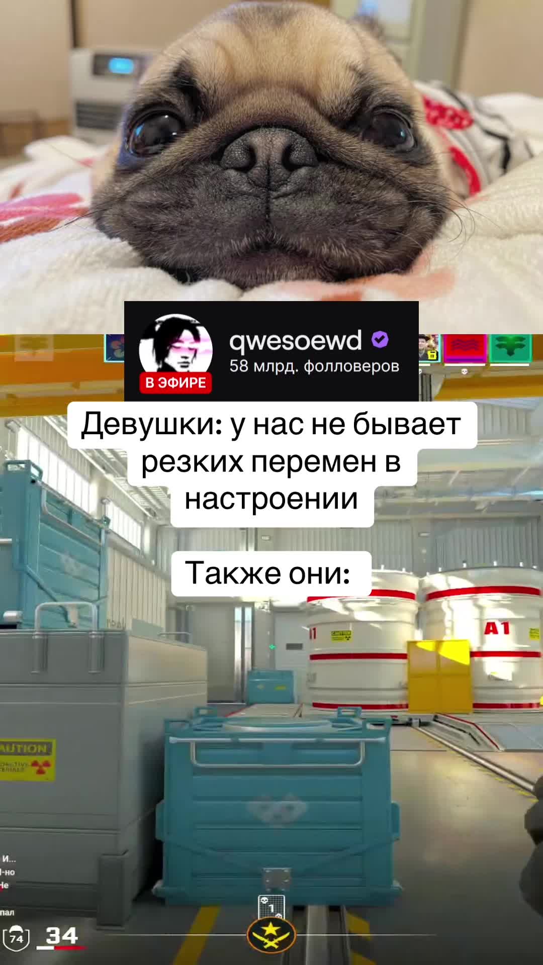 @qwesoewd_official