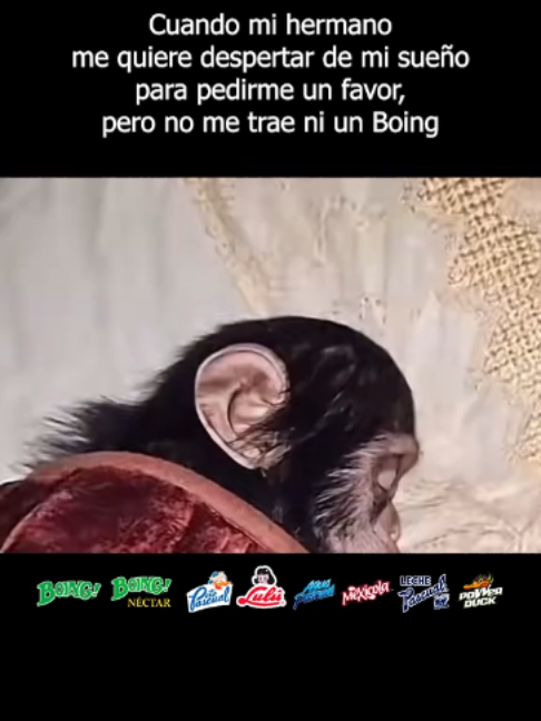 @Boing Poza Rica