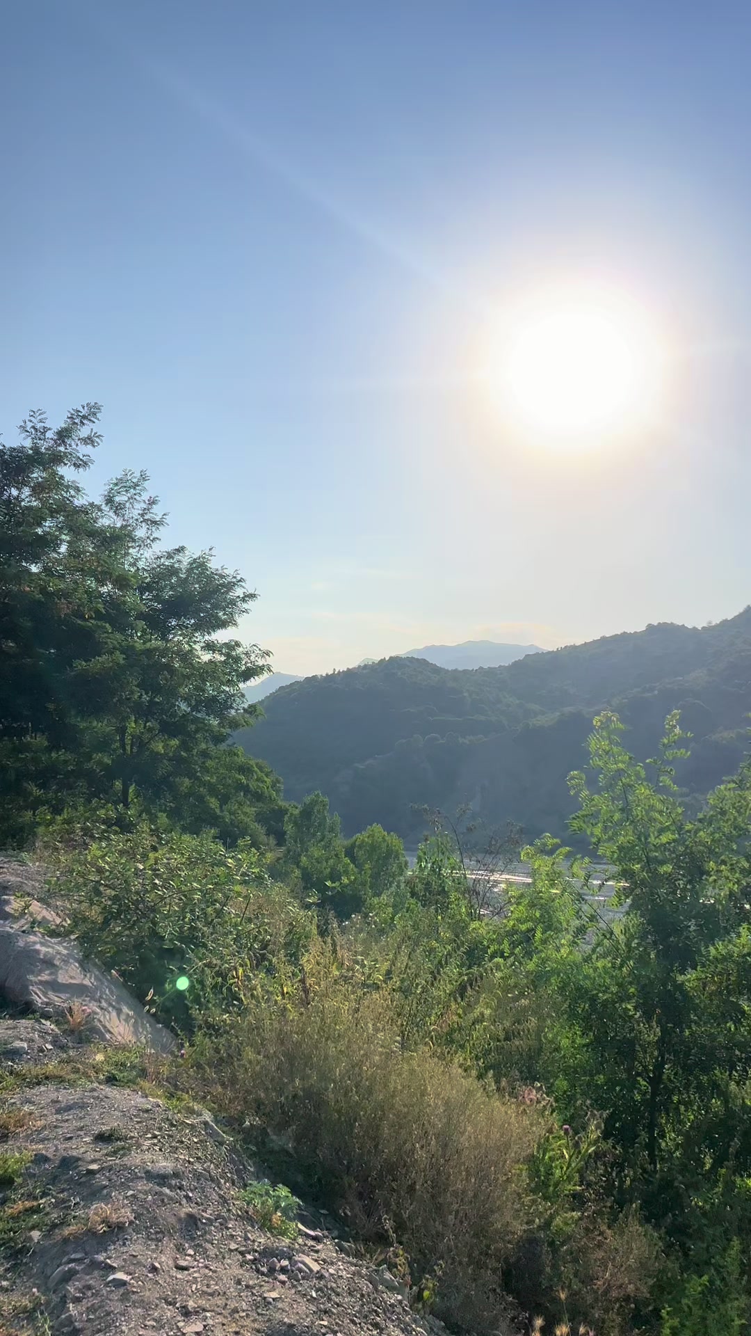 @Ainurashakh🕊️