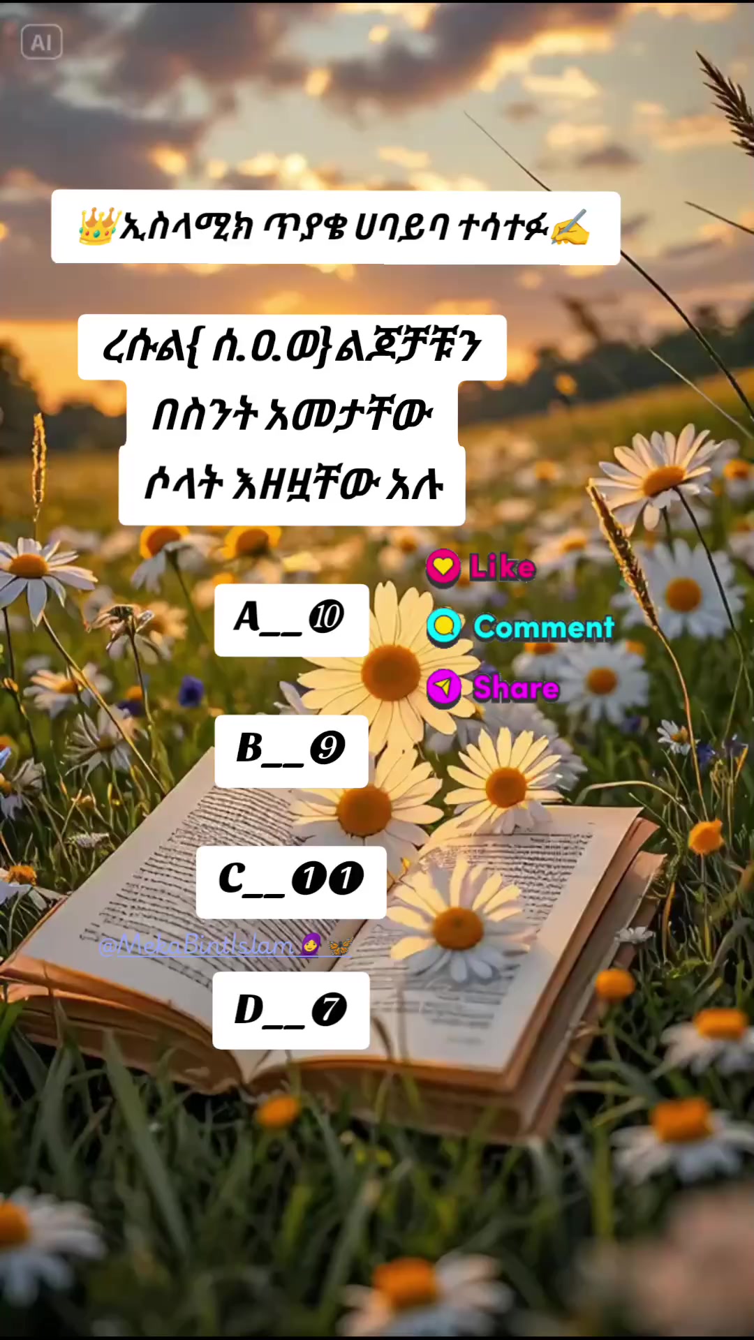 @Meka Bint Islam🧕🦋
