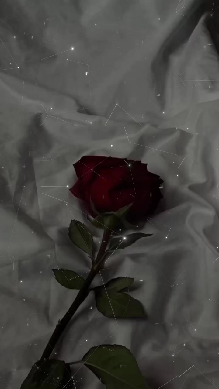 @𝐁𝐀𝐋𝐊𝐀𝐍 𝐒𝐎𝐍𝐆𝐒