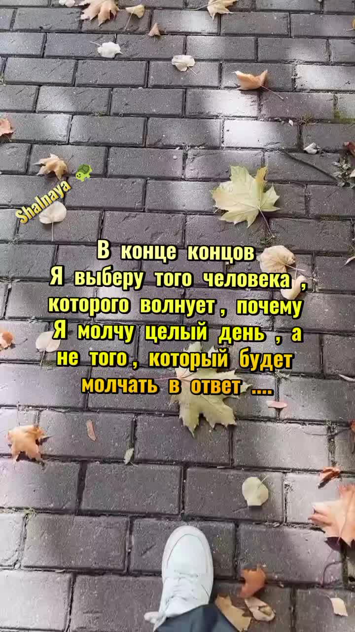 @Шальная 🐢🐢🐢