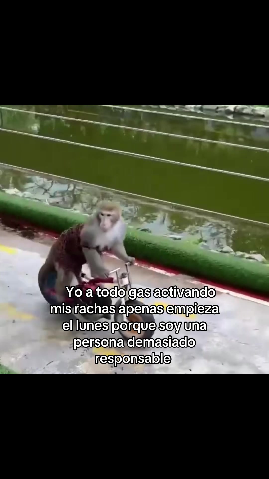 @saulburgosp2.0