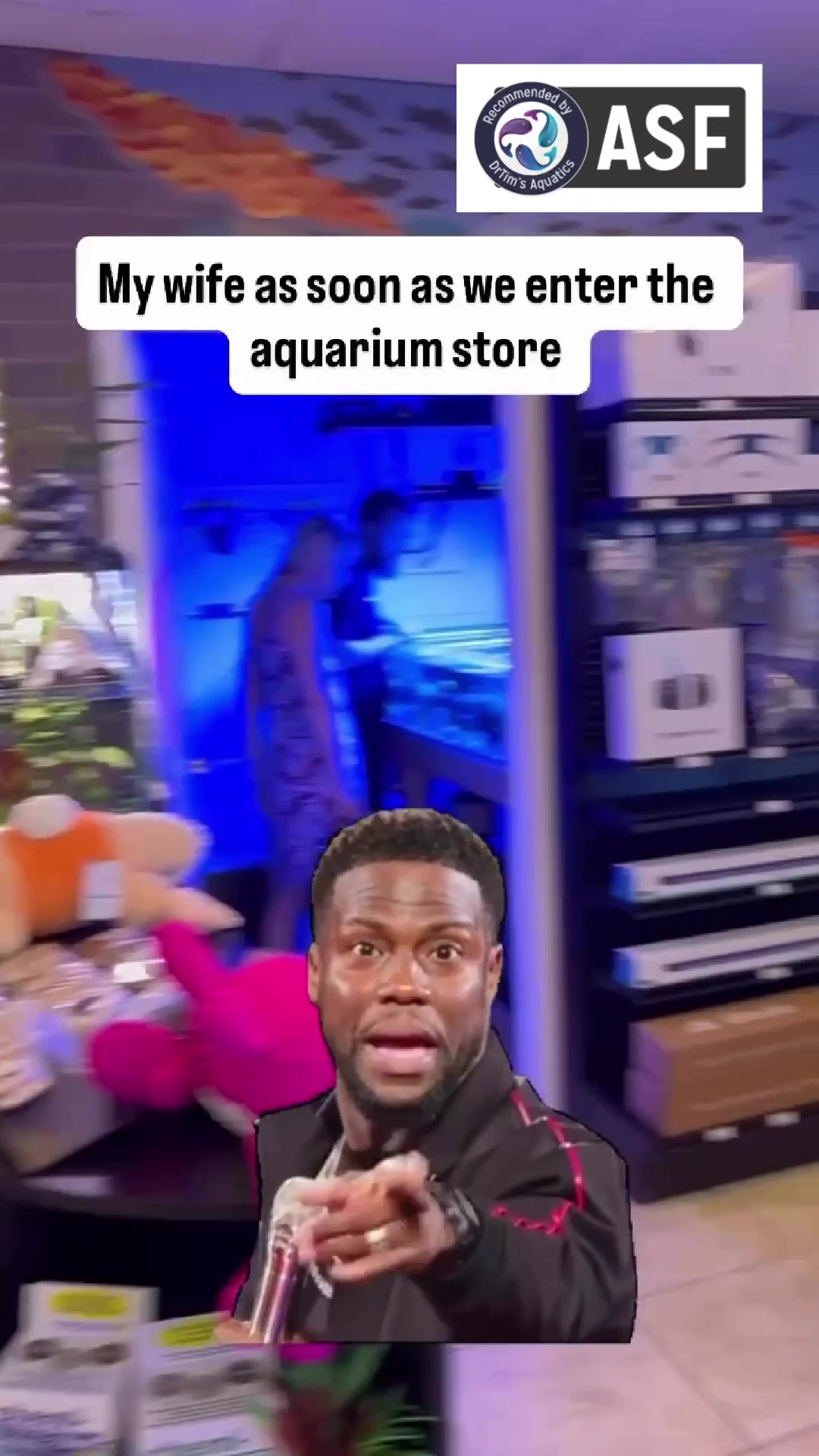 @DrTim