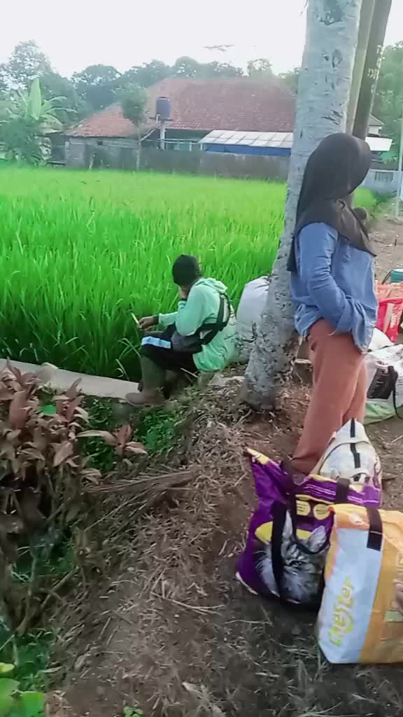 @amih arsyilaa