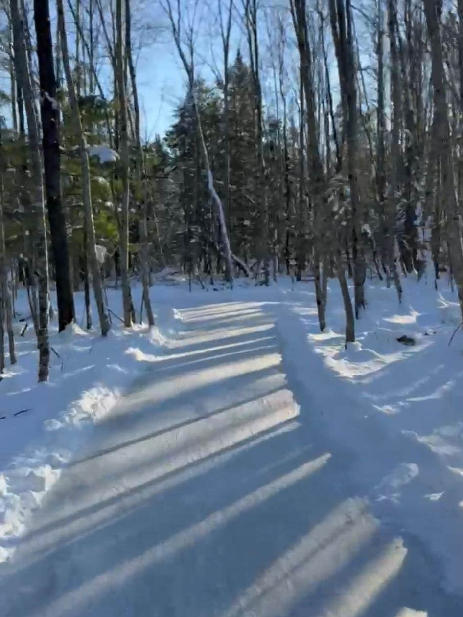 @Les sentiers d'&agrave; C&ocirc;t&eacute; ⛸️🌲