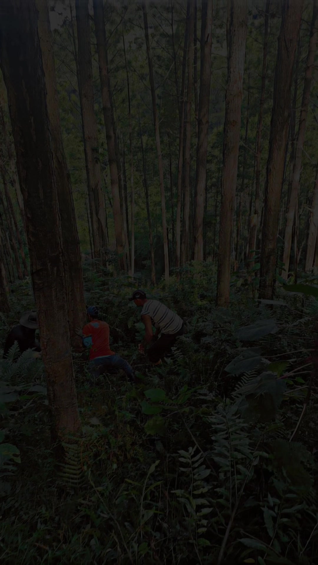 @WHresinas 🌲🛢️
