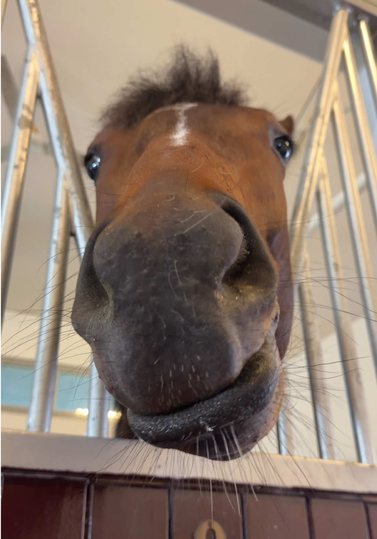 @racingdubai