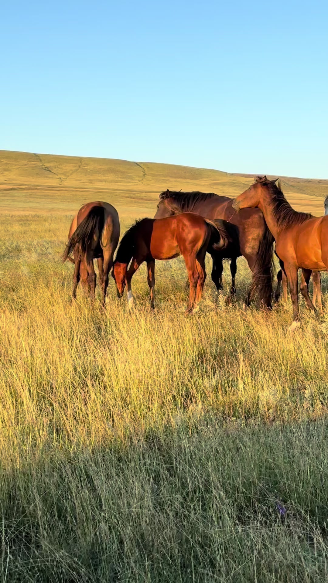@MakvinStud