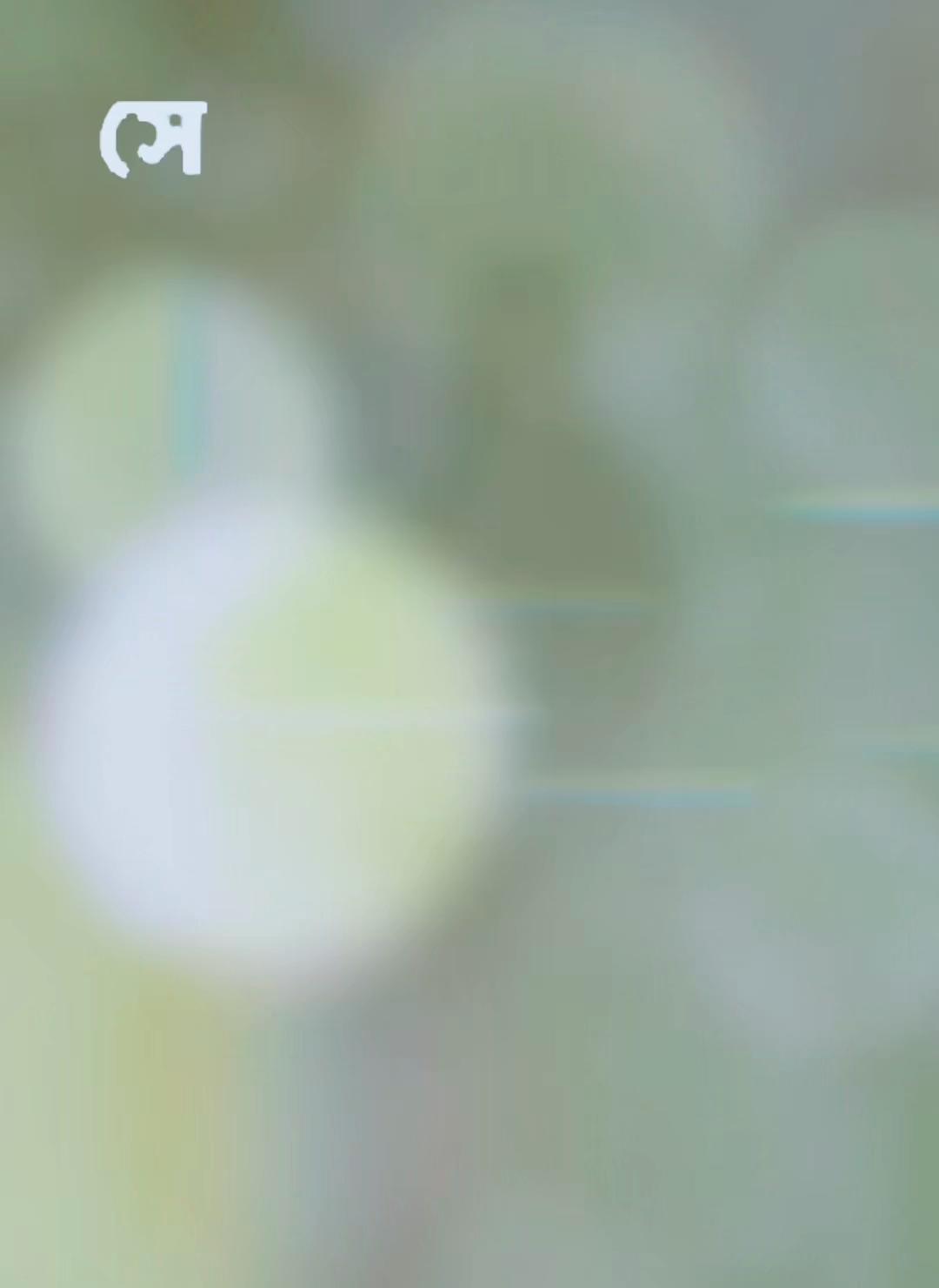 @تومي شودو امر