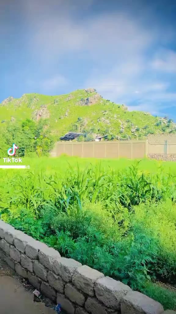 @شاکر اورکزئ 🦅