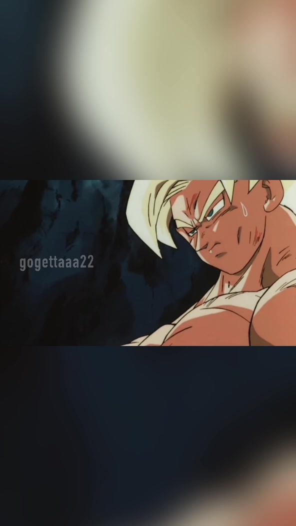 @gogettaaa22