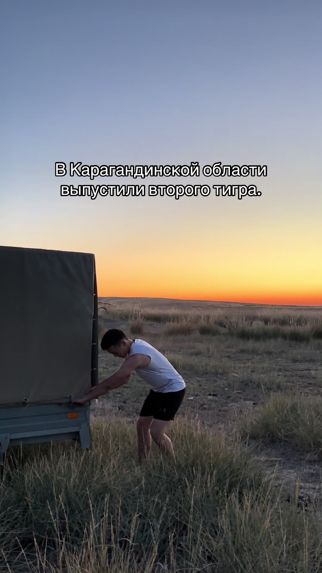 @ай’м Чина👑