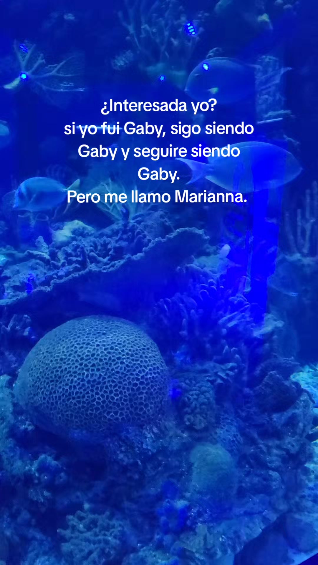 @Marianna Sánchez🎀