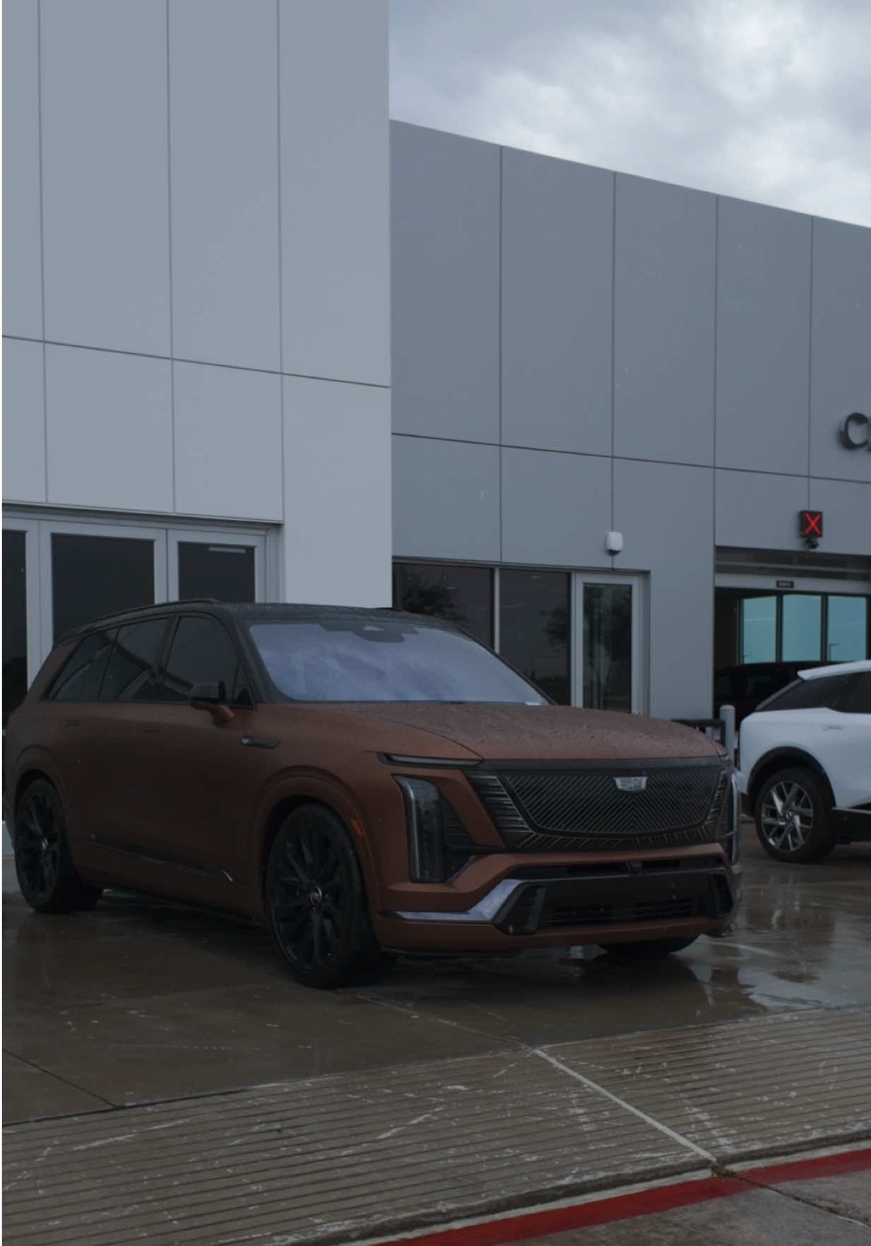 @Cadillac from Ty