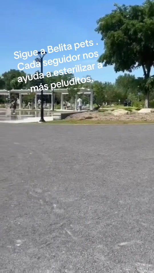 @BelitaPets