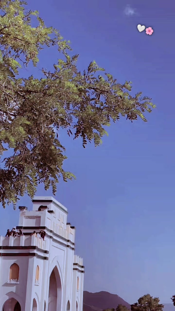 @{Miaنi🌸🤍}°^°