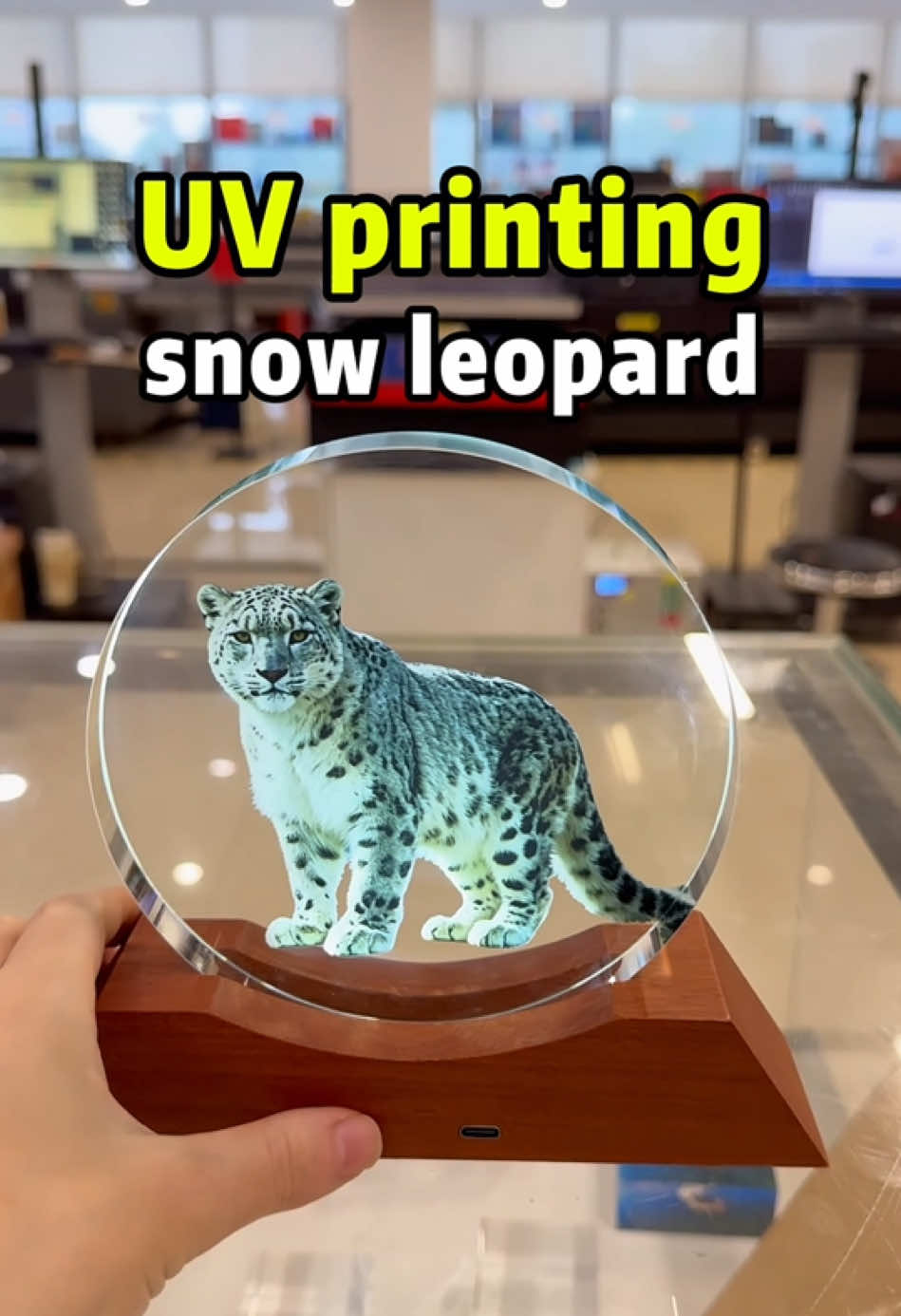 @31duuvprinter