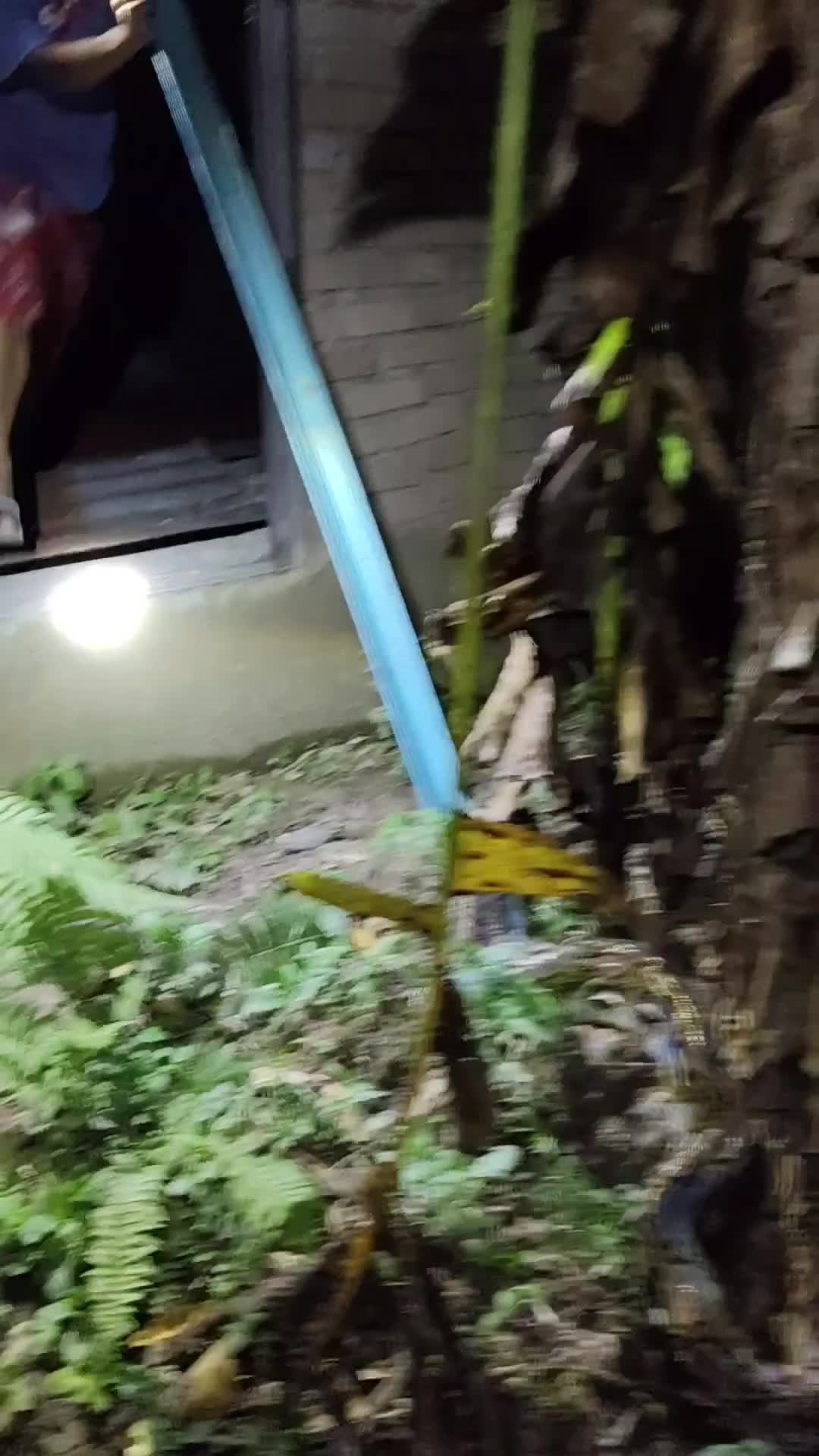 @AmirGarcia69🇲🇾🐂🐐