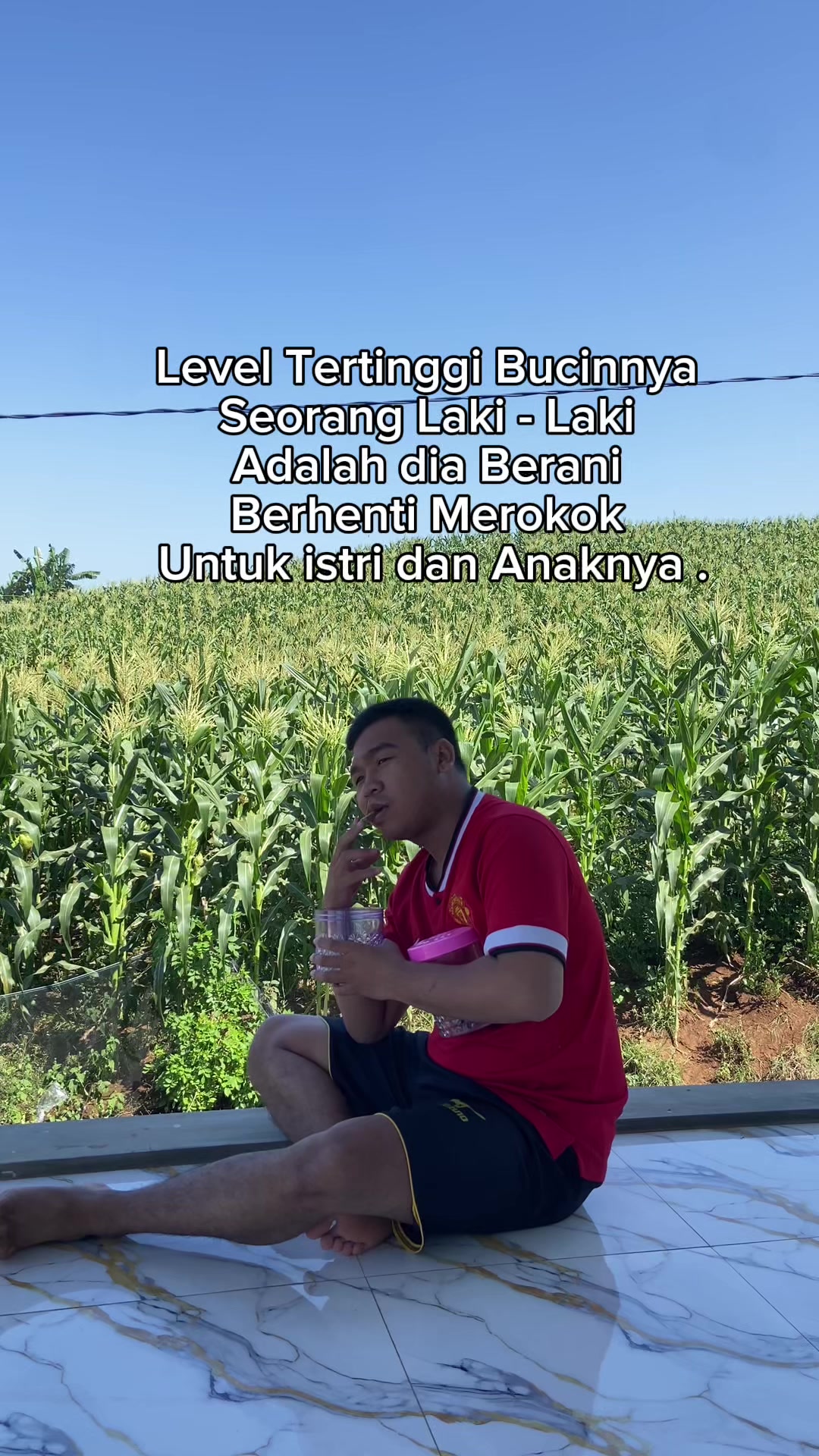 @dikdikdesi