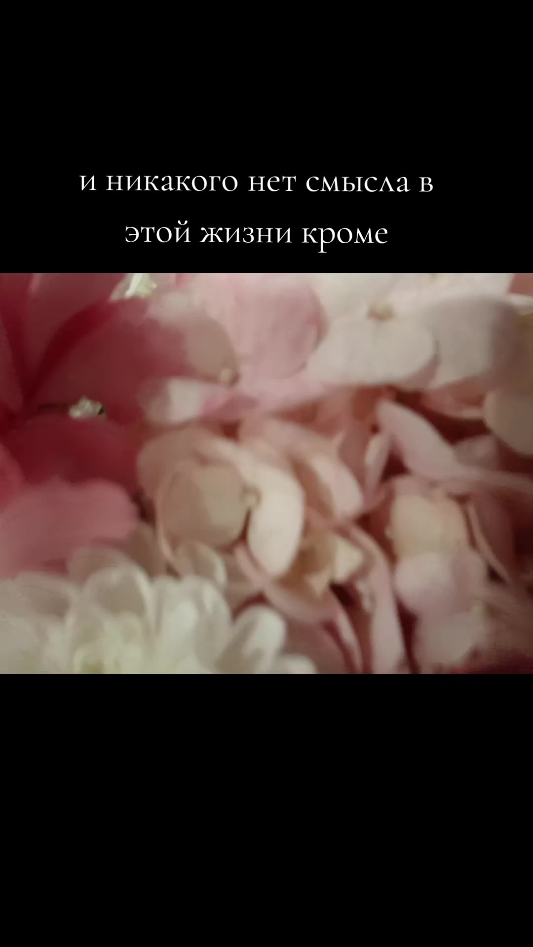 @Смурфии