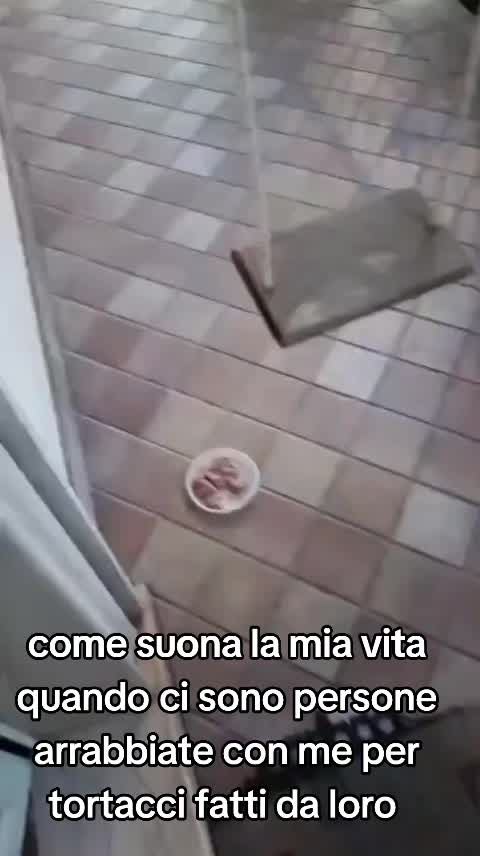 @ANIMALISTI DI FROSINONE