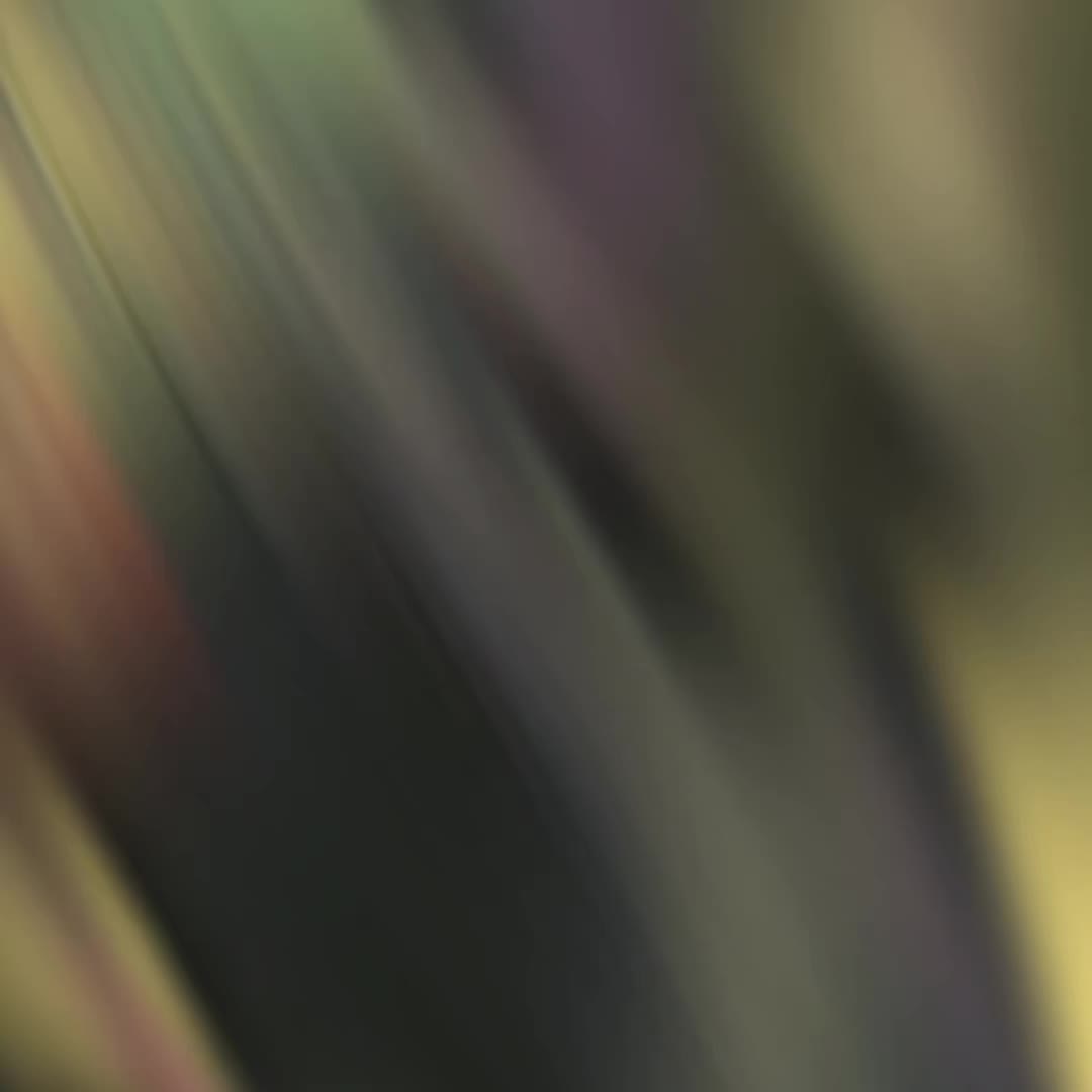 @kraken