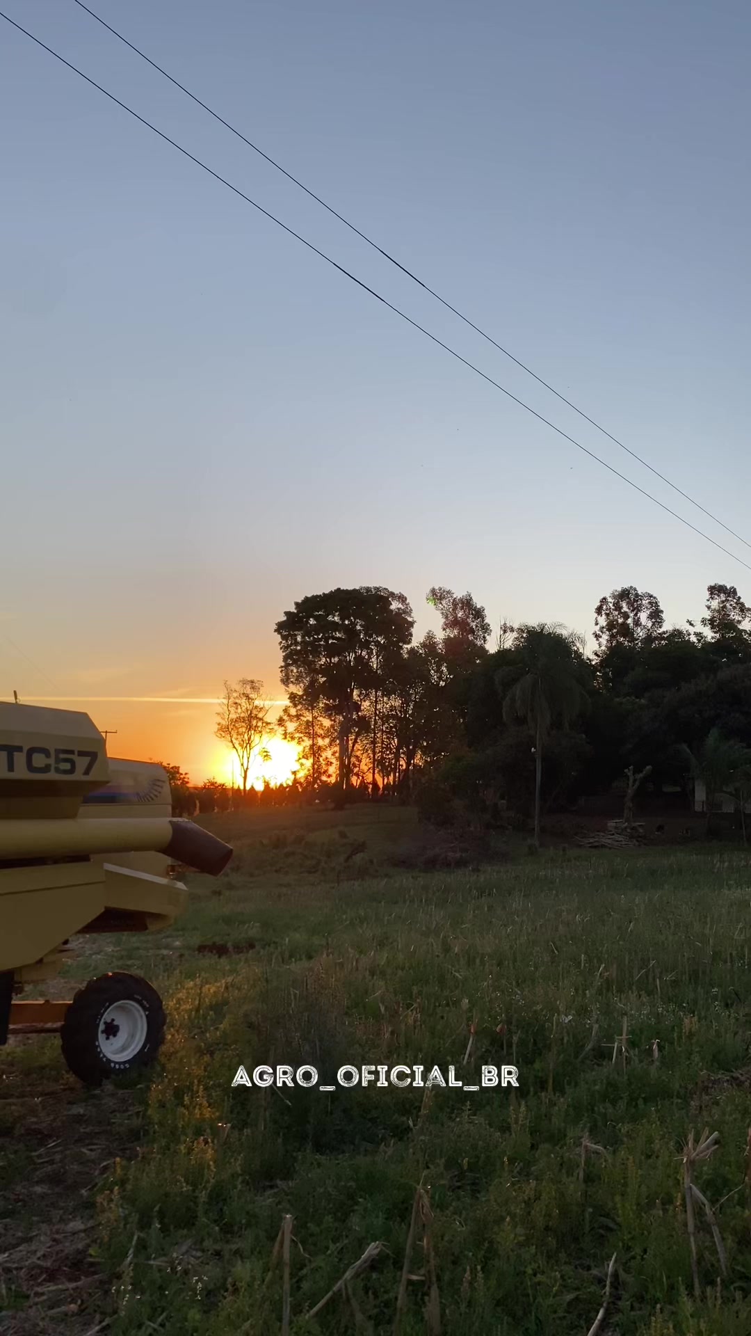 @AGRO_OFICIAL_BR