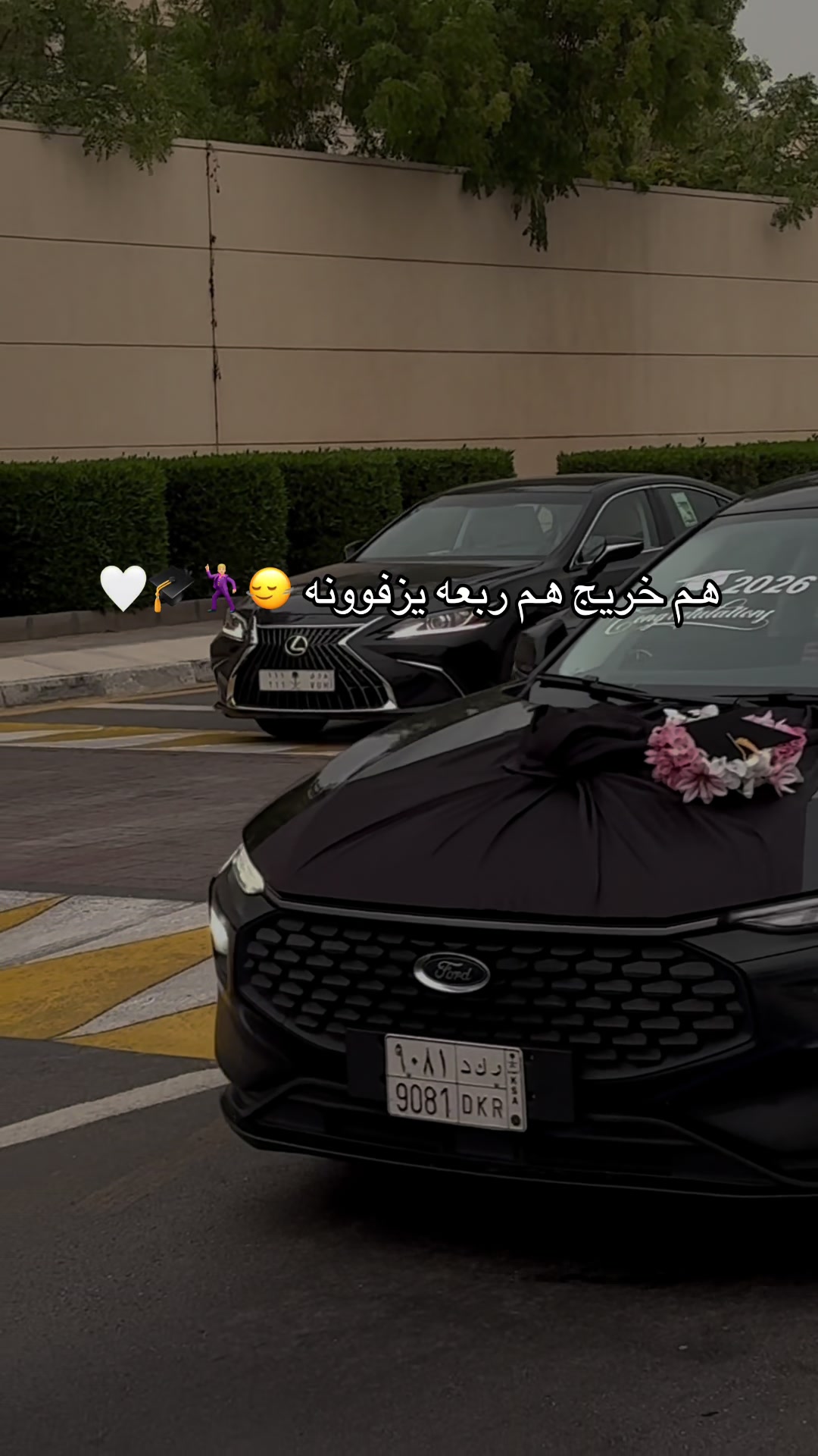 @AN | 🌷🎓