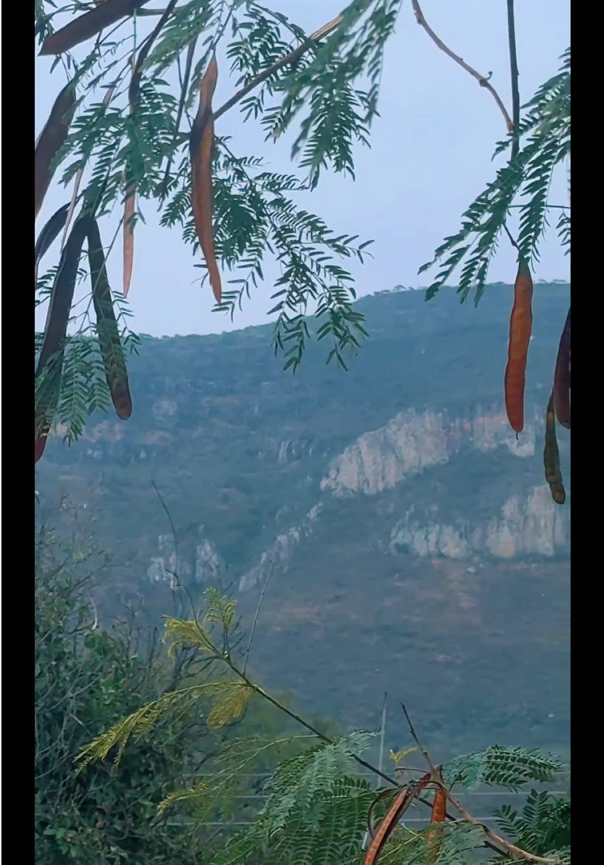 @Nostic Jalisco, México