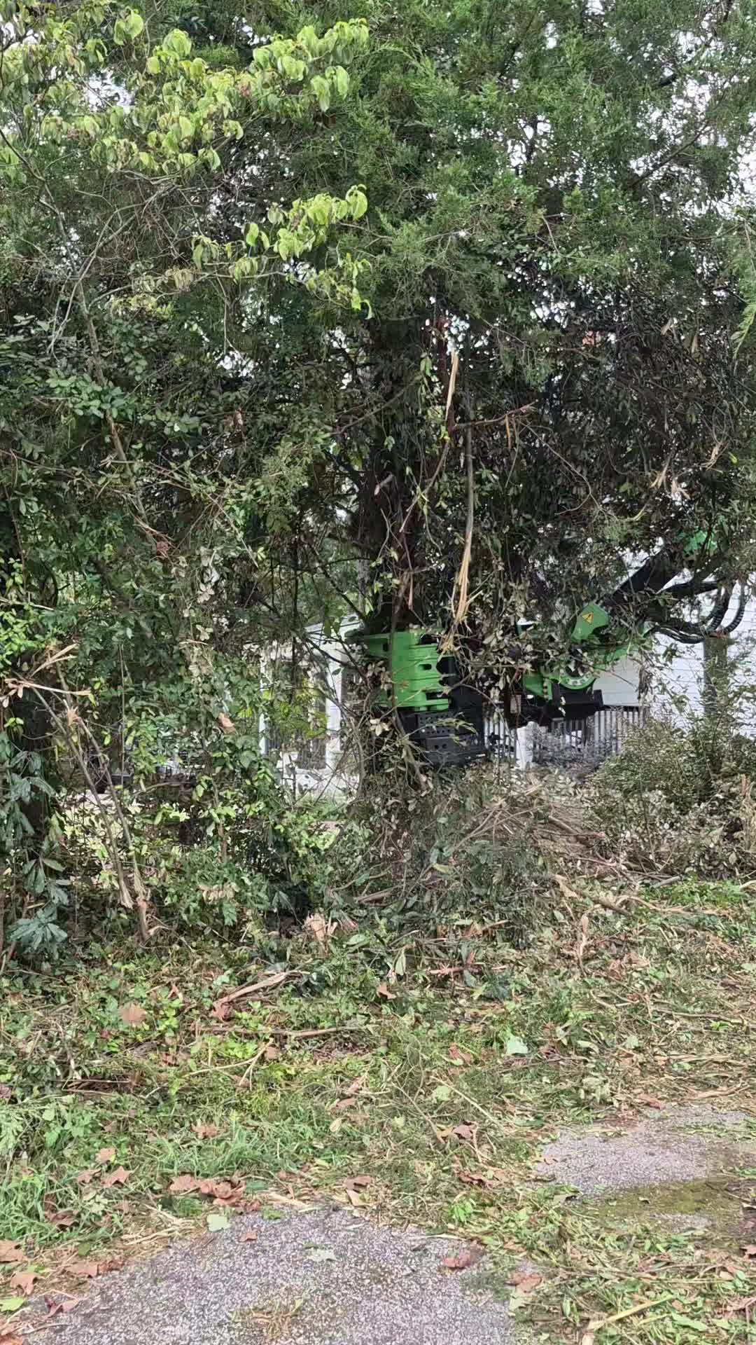 @R&G tree and landscaping
