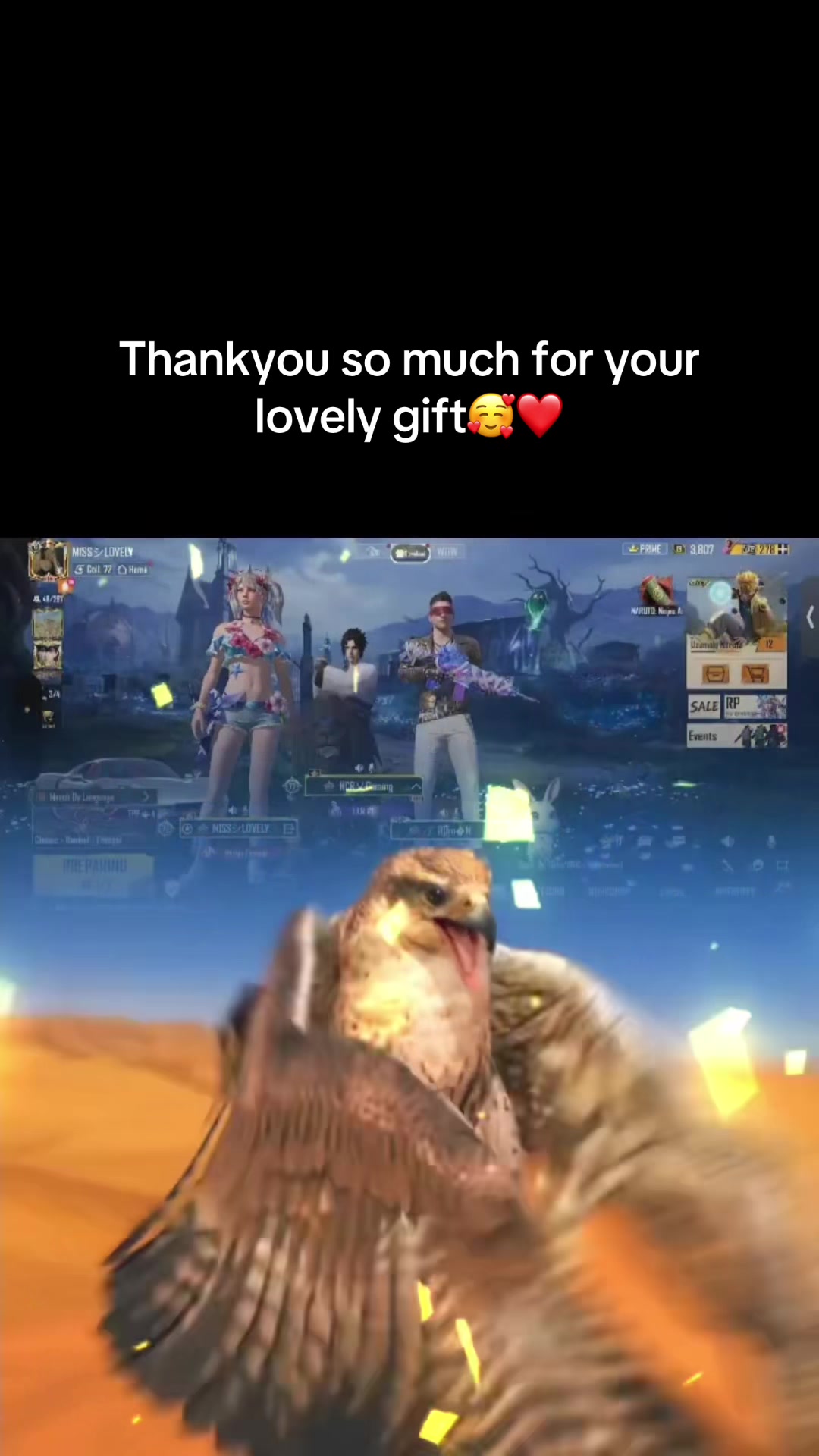 @LOVELY GAMING