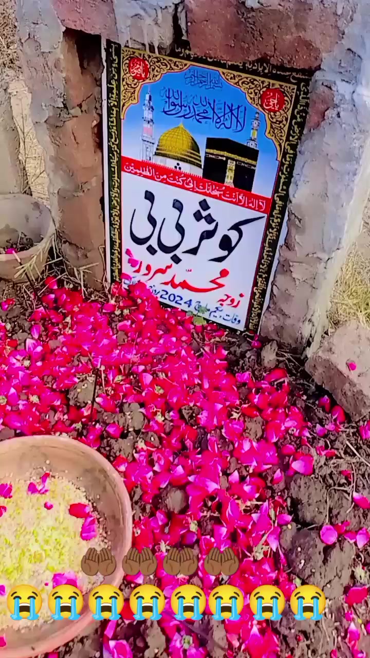 @irfan8003