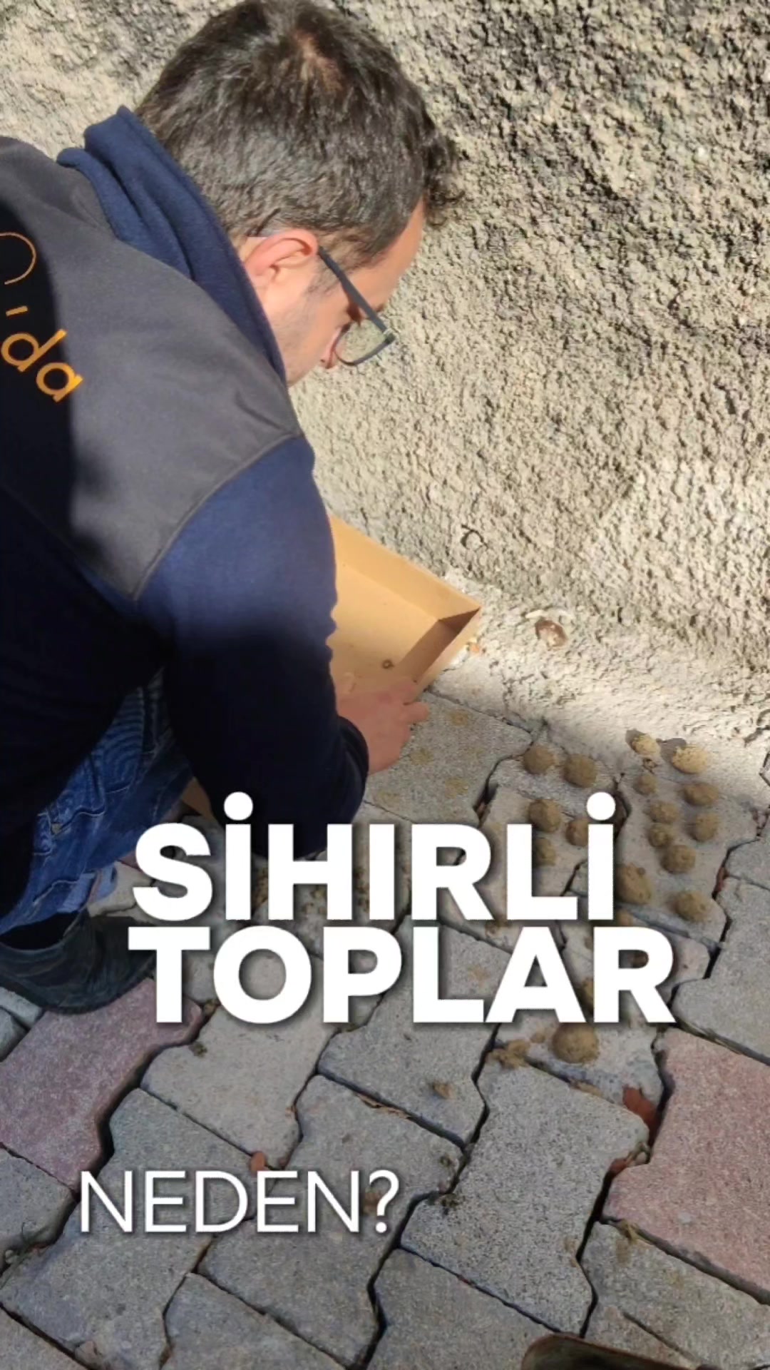 @Kutlu Bilgi