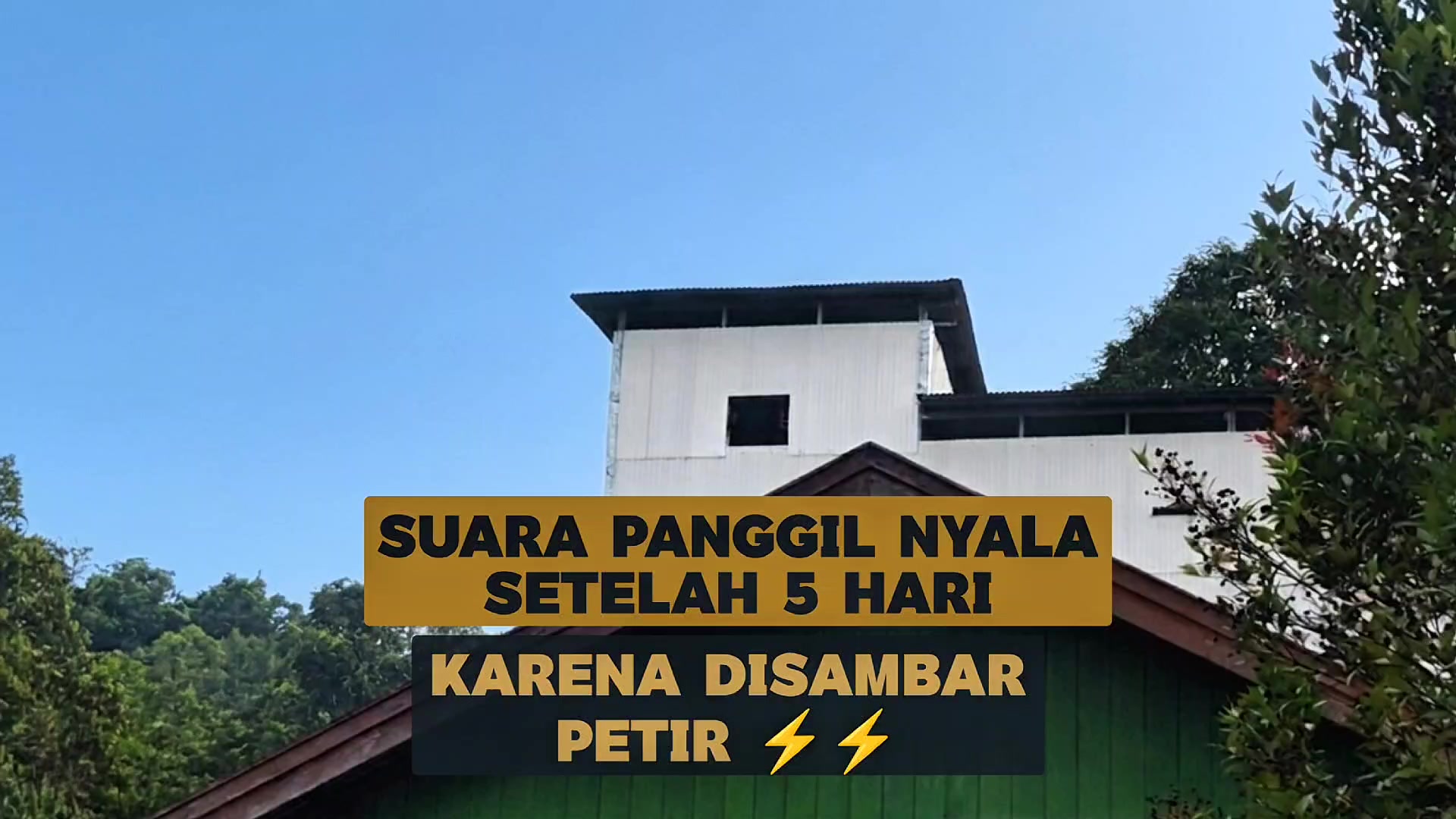 @Walet Rimba Kalimantan