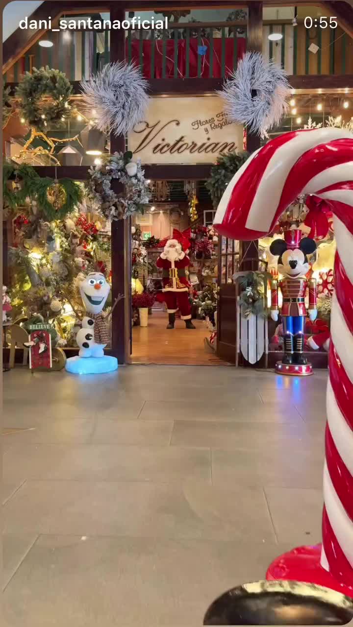 @victorianfloresfinasyregalos