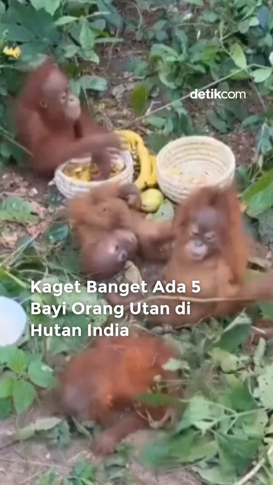 @detik.com