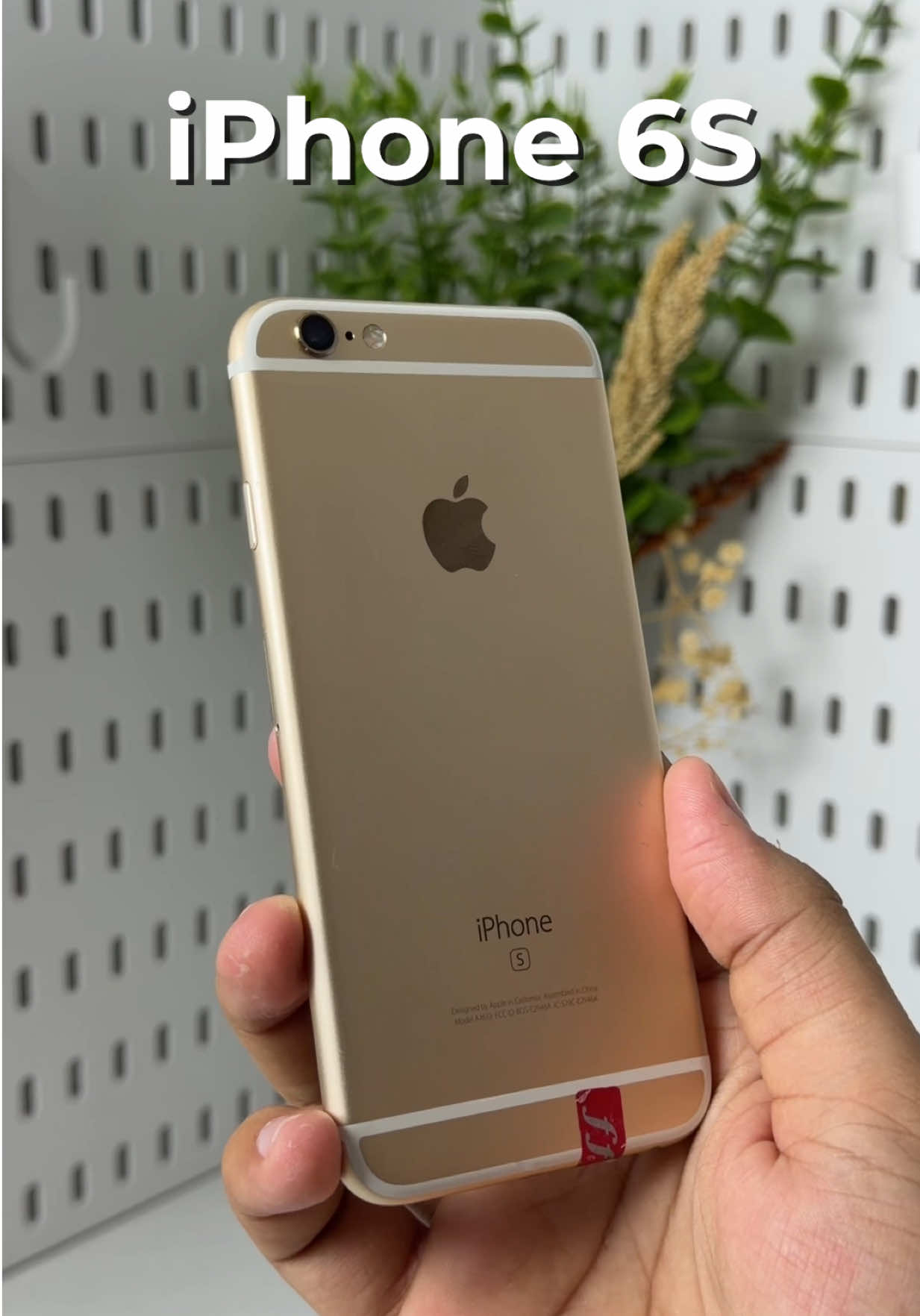 @iPhonary 🩷