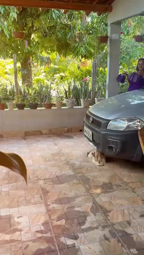 @ninhasantos
