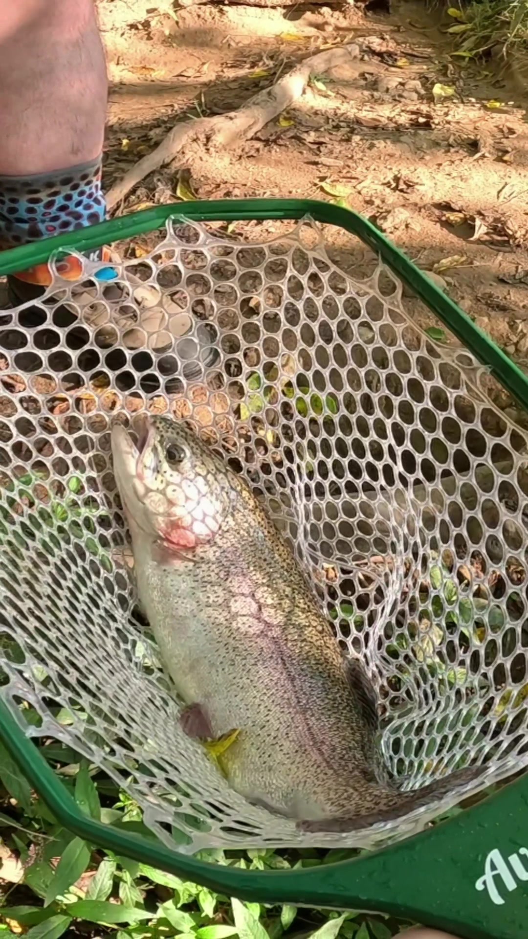 @Rod N Hand Fishing