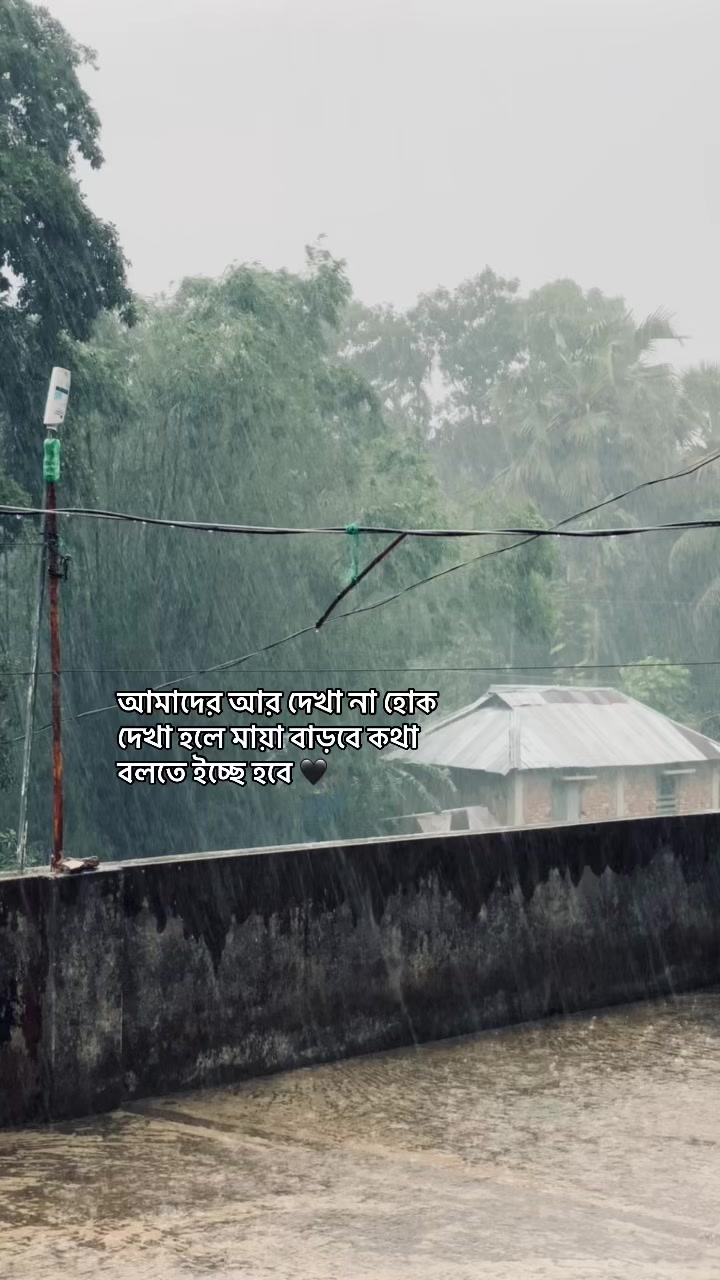 @_নিখোঁজ_