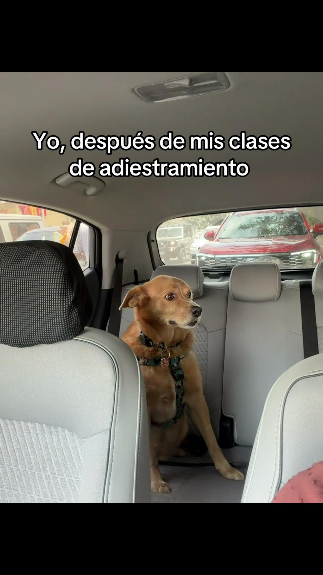 @Diario de Donny🐕 y mami👩🏻