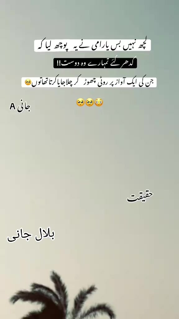 @بلال بھٹی ساہیوال والا804👑