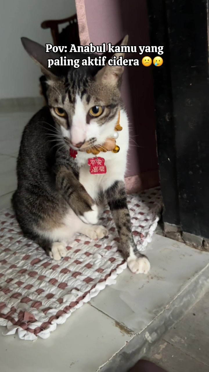 @KucingGBK
