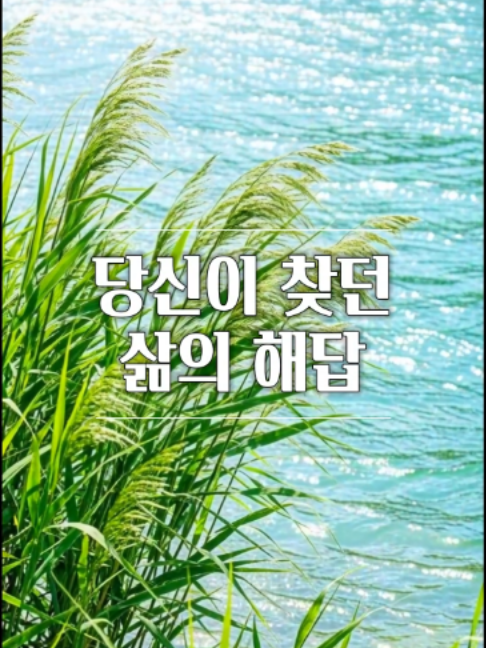 @빛의 씨앗