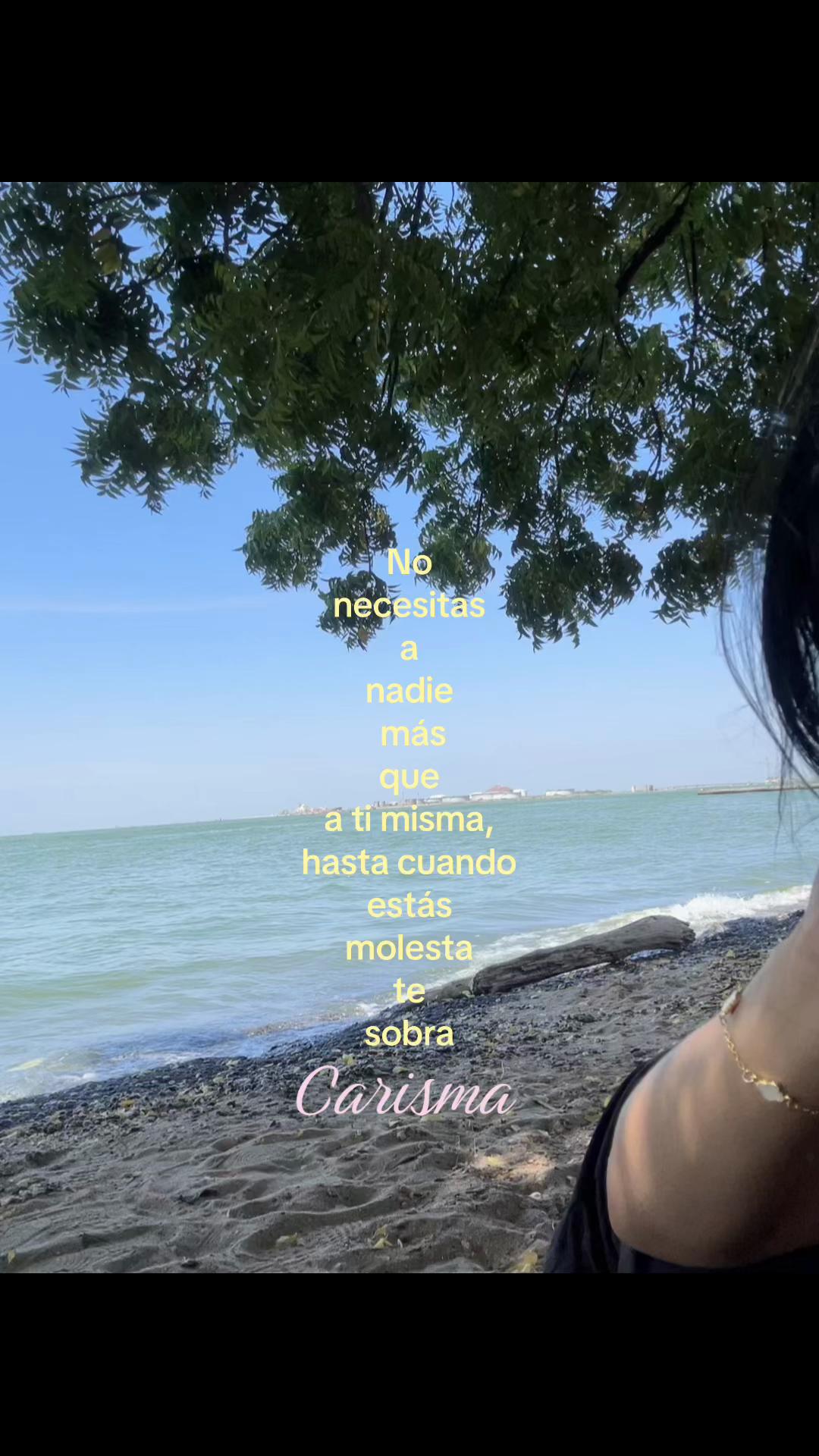 @Dani