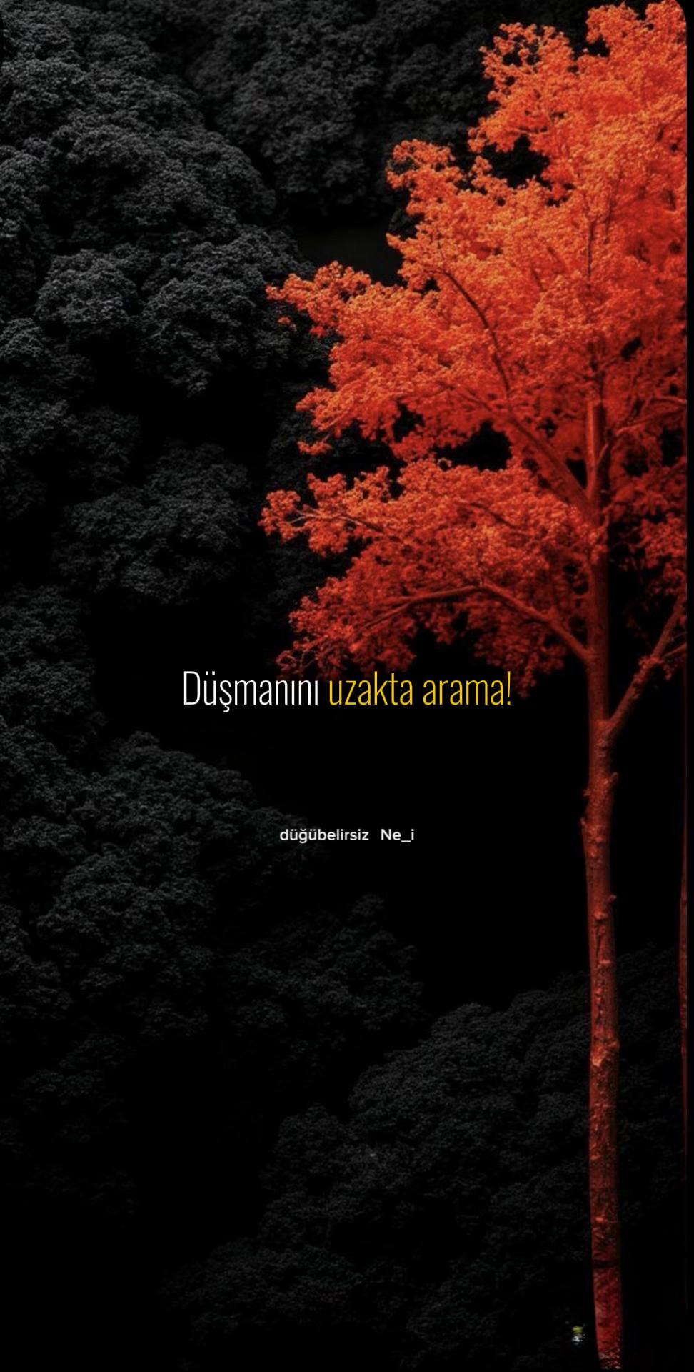 @ne_idugubelirsiz