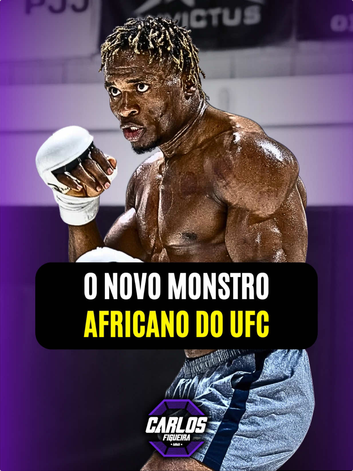 @Carlos Figueira MMA