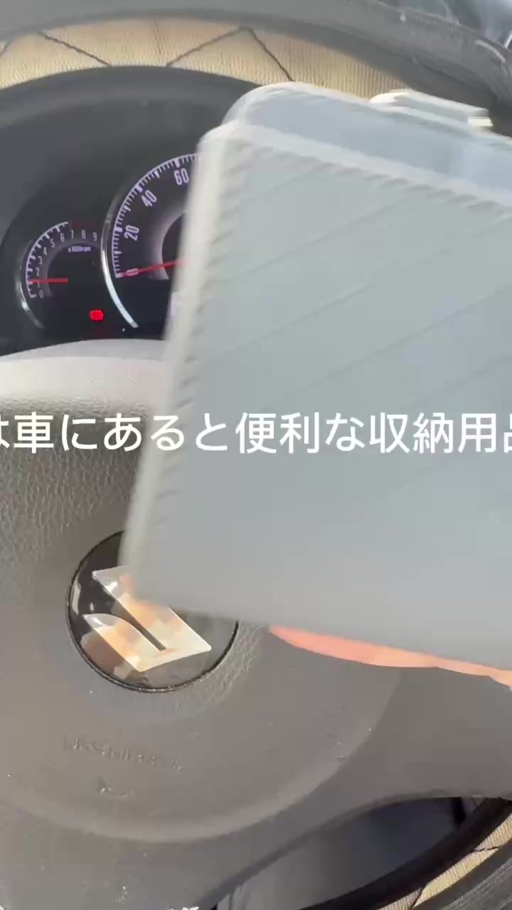 @むぎ ゆず🚖パグ姉妹